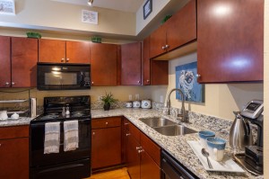 Three Bedroom Apartments for Rent in Conroe, TX - Model  Kitchen (2)  